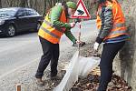 V neděli rozmístili dobrovolníci u silnice v Josefovském údolí na Blanensku zábrany z fólie. Usměrní tah obojživelníků.