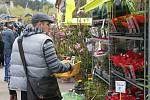 Jarní jarmark v zahradnictví a pštrosí farmě v Doubravici nad Svitavou.