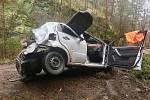Dopravní nehoda u vodní nádrže Letovice. Auto se zřítilo ze srázu, řidič zemřel.