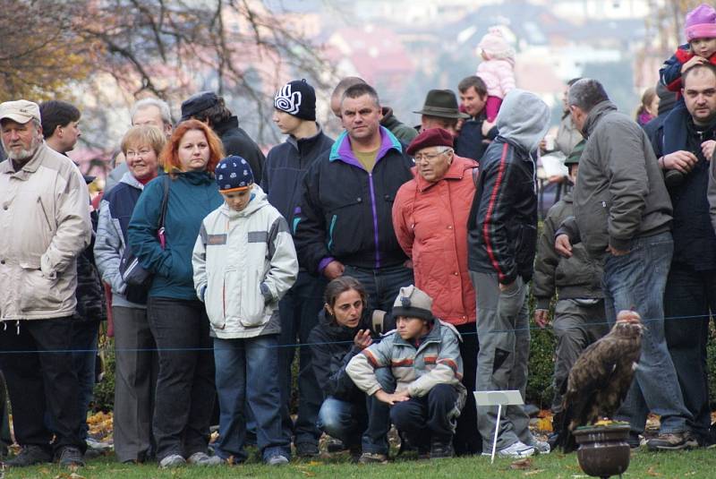 Stovky lidí navštívily v sobotu už třetí Svatohubertské slavnosti na zámku v Boskovicích. Na programu byly například ukázky práce s koňmi, přehlídka loveckých psů, vystoupení sokolníků či výstava loveckých trofejí a zbraní.