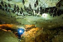 Jeskyně Na Turoldu u Mikulova, Jeskyně Výpustek i Sloupsko-šošůvské jeskyně v Moravském krasu na Blanensku zahajují sezonu s novinkami.
