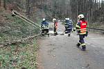 Ulomené větve a vyvrácené stromy popadaly na hroby na olomučanském hřbitově. Tamní jednotka dobrovolných hasičů odklízela také vyvrácené kmeny ze silnice.