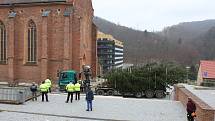 V pondělí přivezla těžká technika vánoční strom ke kostelu svaté Barbory v Adamově. Městu ho věnoval Školní lesní podnik Masarykův les Křtiny.