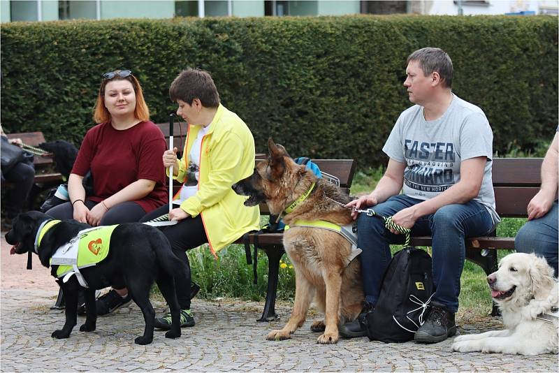 Blansko hostilo soutěž vodících psů CESTA VE TMĚ.