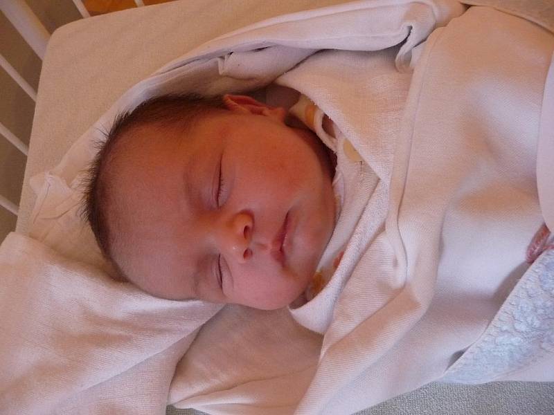 Pavel Bauer, 53 cm, 4,30 kg, 27. 12. 2010, Brno