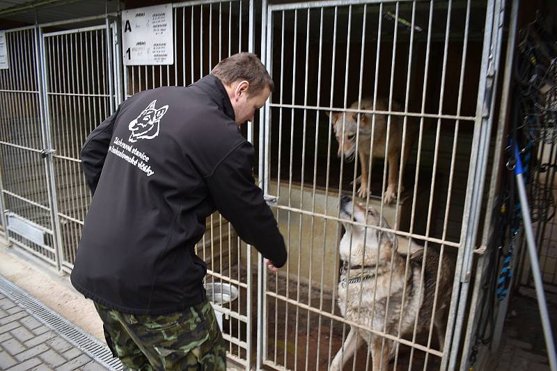 Záchranná stanice pro Československé vlčáky. Je jediná v Evropě. V Josefovském údolí nedaleko Adamova na Blanensku ji provozuje Vojtěch Radkovič Kouřil s manželkou Soňou.