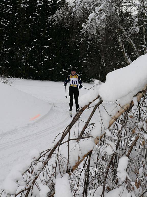 Na čtvrtém ročníku Kořenecké lyže startovalo sedm desítek běžkařů. Mezi muži vyhrál Jaroslav Kouřil. V kategorii žen pak Michaela Šaršonová.