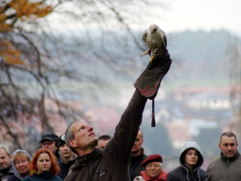 Stovky lidí navštívily v sobotu už třetí Svatohubertské slavnosti na zámku v Boskovicích. Na programu byly například ukázky práce s koňmi, přehlídka loveckých psů, vystoupení sokolníků či výstava loveckých trofejí a zbraní.