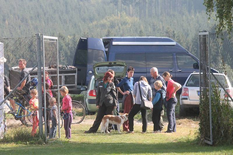 Na psí spřežení do Louky se sjeli soutěžící nejen z České republiky, ale i z dalších koutů Evropy.