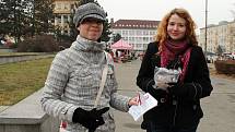 Několik dvojic z Gymnázia Blansko v ulicích města prodávalo červené stužky. Ty jsou symbolem solidarity s HIV pozitivními a nemocnými AIDS i symbolem prevence proti této nemoci. 