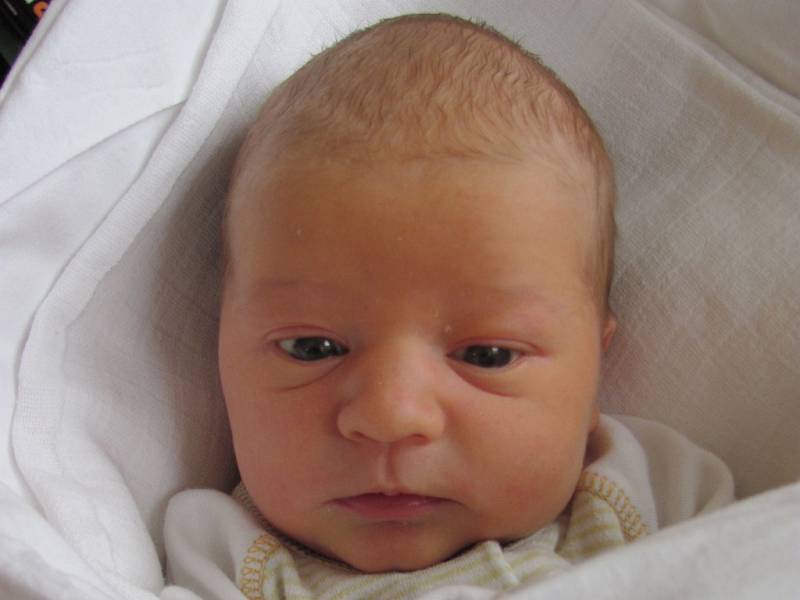 Matyáš Palinek, 52 cm, 3,60 kg, Sulíkov-Vřesice, 12. 1. 2013 