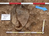 Ve Velkých Opatovicích archeologové zkoumají největší pohřebiště z doby bronzové z posledních let. 