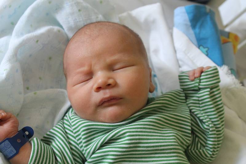 Jakub Lajšner, 49 cm, 3,47 kg, Biskupice, 18. 7. 2015.