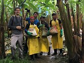 Příběh banánu. To je téma třetího ročníku Výstavy na stromech. Unikátní fotografie, které mapují život dělníků na kostarických a panamských plantážích, visí od soboty v desítkách parků v republice. Jedním z nich je i park u blanenského zámku. 