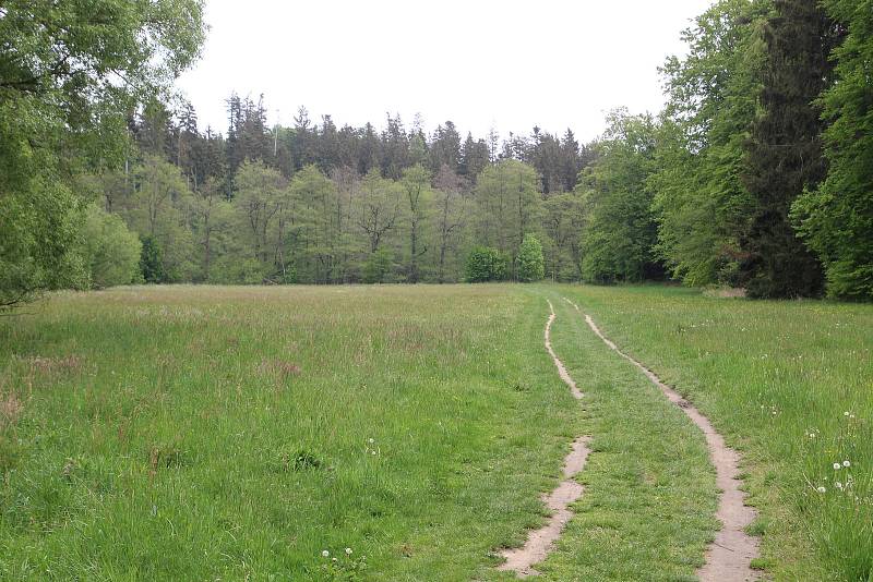 Okolí potoka Bílá voda u Holštejna na Blanensku lemují rozlehlé louky. Stát chce tuto lokalitu zařadit do budoucna na seznam zásobáren vody.