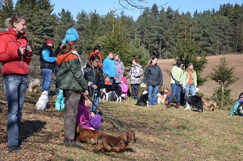 Blanenský kynologický klub Agility pořádal v neděli Pochod lesem se psem. Pejsci i jejich pánové pochodovali pět kilometrů od Přehrady Palava po chalupu na Horčničkách v Horní Lhotě, kde si pak užili spoustu zábavy při plnění různých soutěžních úkolů.