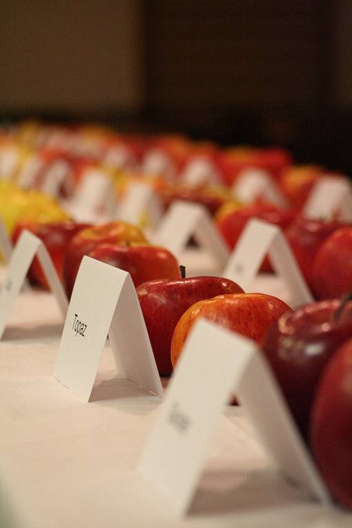 Degustace úrody. Ovocnáři z Lysic hodnotili v tamní sokolovně letošní úrodu jablek. Do rukou degustátorů se dostalo na padesát odrůd jablek. Tradiční ochutnávku jablečné úrody dělají Lysičtí nepřetřžitě už od roku 1959.