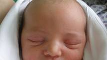 Maxmilián Minx, 48 cm, 3,38 kg, Sudice, 12. 12. 2013 