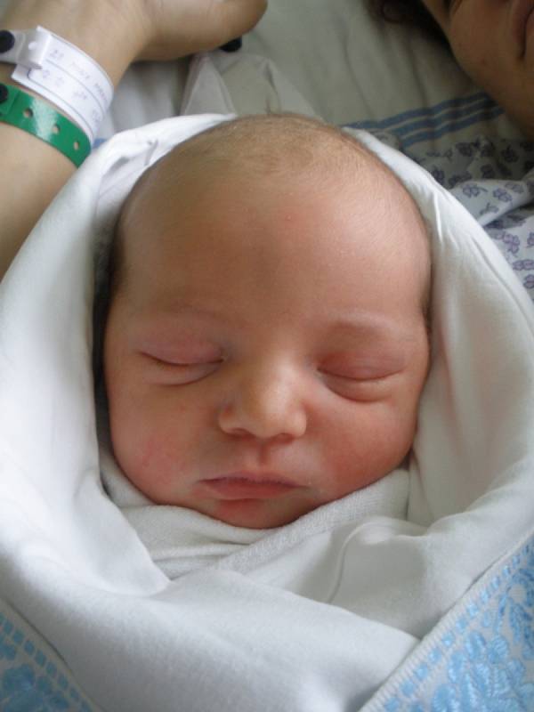 Maxmilián Minx, 48 cm, 3,38 kg, Sudice, 12. 12. 2013 