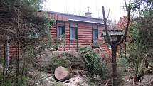 Popadané stromy zůstanou v chatové osadě v obci Suchý ještě dva týdny.