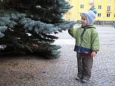 Vánoční strom na náměstí Republiky v Blansku už stojí. Nazdobení se dočká v příštích dnech.