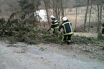 Vítr na Blanensku porážel stromy. Ilustrační foto.