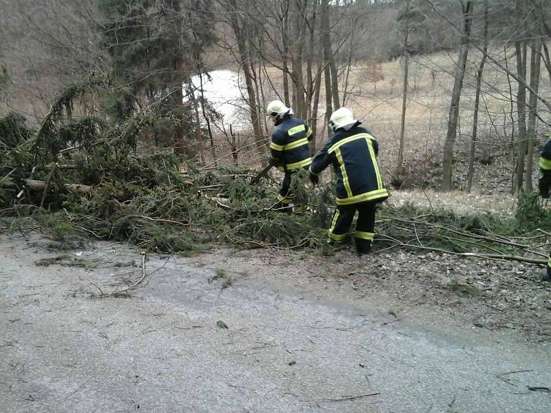 Vítr na Blanensku porážel stromy. Ilustrační foto.