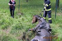 Koně zachraňovali z bláta hasiči v Knínicích u Boskovic.   