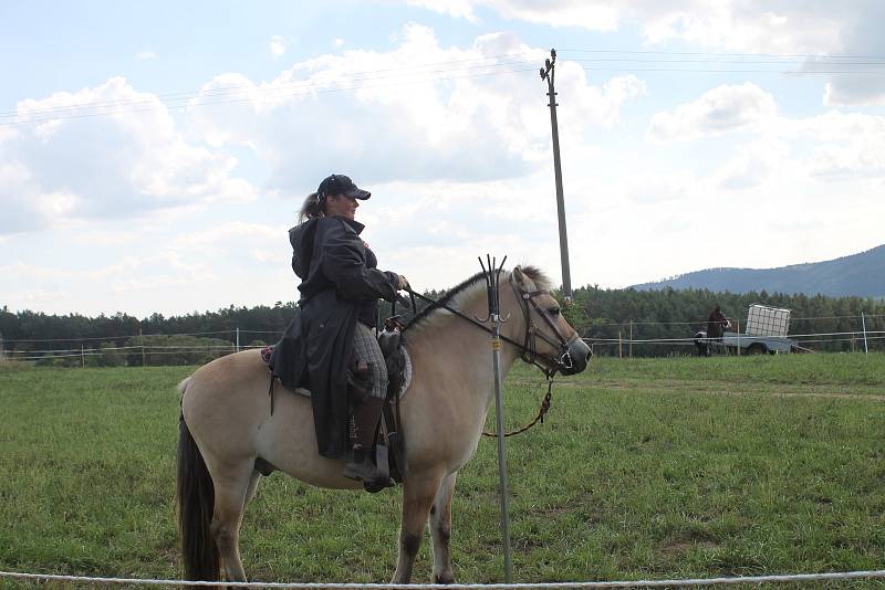 Pátého ročníku Hrušákovy míle se zúčastnilo téměř dvacítka dvojic se svými koňmi.