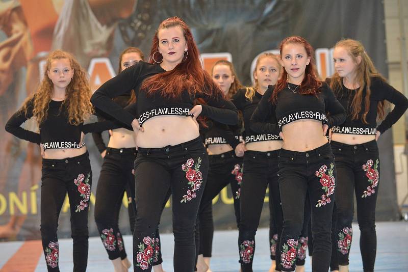 Při čtvrtém ročníku soutěže Summer Dance Cup se v Boskovicích představilo kolem 2 300 tanečníků.