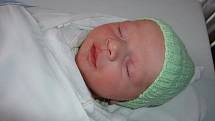 Dominik Bačovský, 53 cm, 4 kg, 4. 4. 2011, Kuřim.