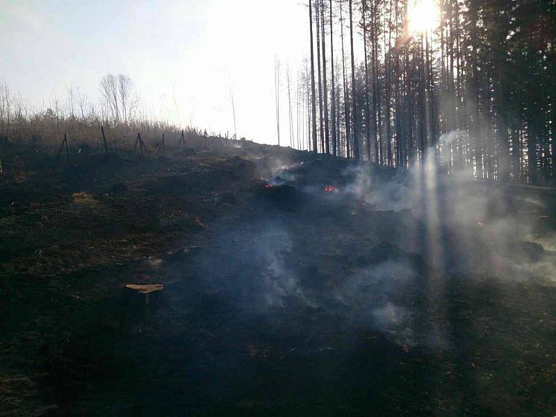 Hasiče na jihu Moravy zaměstnávaly v pondělí odpoledne a navečer lesní požáry. V některých případech museli při zásazích na Blanensku a Brněnsku vyhlásit druhý stupeň požárního poplachu.
