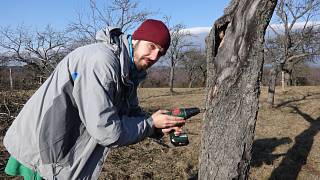 Zasadit strom do krajiny je krásný zážitek, říká odborník Zdeněk Špíšek -  Blanenský deník
