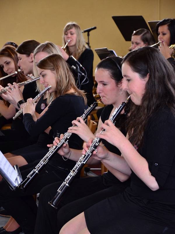 Letovičtí ve spolupráci s orchestry Višegradské čtyřky pořádají v květnu druhý ročník Mezinárodního festivalu dechových orchestrů. Vystoupí na něm sedmadvacet orchestrů a zhruba tisícovka muzikantů. Na snímcích vystoupení z loňského ročníku.