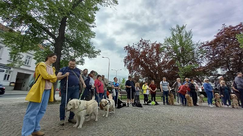 Soutěže se zúčastnilo necelá dvacítka soutěžících psů a jejich majitelů.