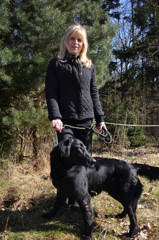 Blanenský kynologický klub Agility pořádal v neděli Pochod lesem se psem. Pejsci i jejich pánové pochodovali pět kilometrů od Přehrady Palava po chalupu na Horčničkách v Horní Lhotě, kde si pak užili spoustu zábavy při plnění různých soutěžních úkolů.