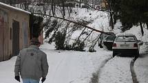 Mezi stromy, které nevydržely vrstvu těžkého mokrého sněhu a vyvrátily se z podmáčené půdy, byla i borovice v části Staré Blansko. Ta pravděpodobně v úterý k ránu spadla přes cestu a položila se na protilehlé garáže.