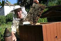 Včelaři na Blanensku si pochvalují výbornou snůšku. Kilogram medu budou v průměru prodávat za sto padesát korun. Na snímcích adamovský včelař Jiří Jelínek.