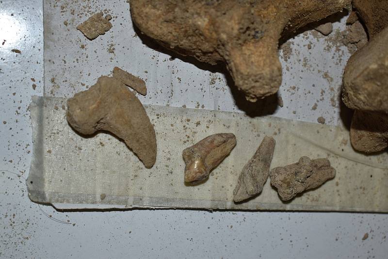 Při archeologickém výzkumu našli odborníci v Kateřinské jeskyni v Moravském krasu na Blanensku mince a zbytky materiálu. Podle všeho se jedná o doklad penězokazectví. Pod zemí objevili i fragmenty keramiky a kosti pravěkých zvířat.