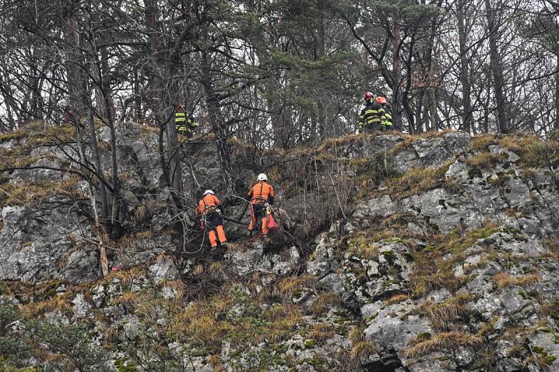 Odvážné manévry na skále podstoupili jihomoravští hasiči při záchraně ovcí, které uvízly na skalní římse ve Sloupu na Blanensku.