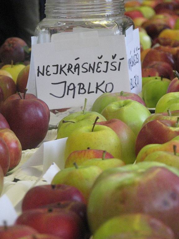 Výstava ovpce a zeleniny v Kozojídkách