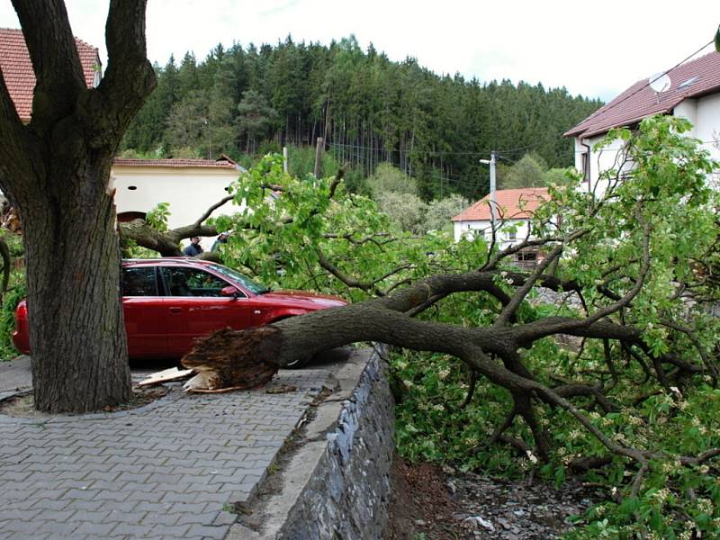 Mátl okolí tím, že kvetl. Přesto byl uvnitř prohnilý a nakonec spadl.