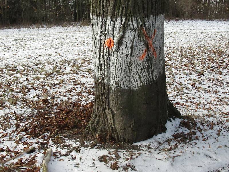 Patová situace. Krajští silničáři mají od prosince pravomocné stavební povolení na opravu rozbité silnice mezi Velkými Opatovicemi a letovickou místní částí Chlum na Blanensku. Do práce se ale pustit nemohou.