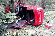 Třicetiletý řidič u Žďárné ve vysoké rychlosti narazil do stromu. 