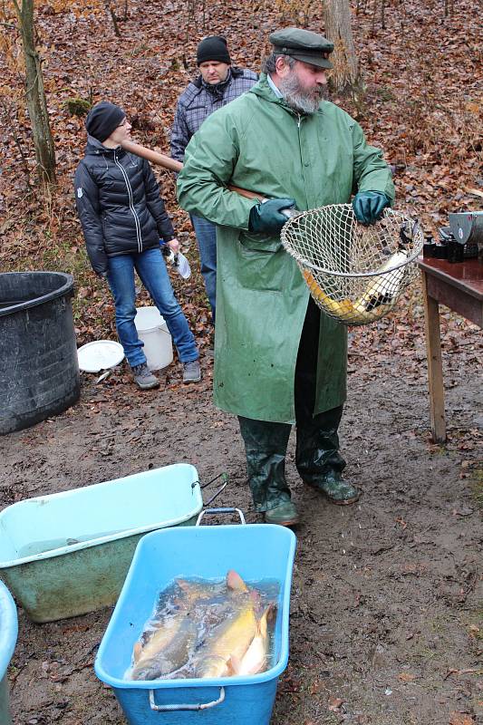 Jedovničtí rybáři zatáhli sítě. Vylovili rybník Budkovan.