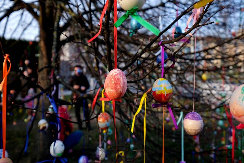 Strom v Kuřimi zdobí přes tisíc vyfouknutých vajec