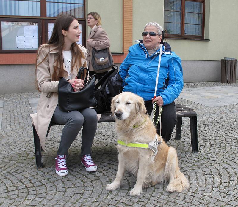 Třináctý ročník soutěže vodicích psů Cesta ve tmě tentokrát provedl účastníky centrem Boskovic.