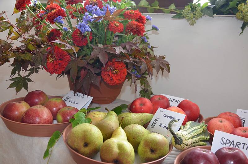 V domě zahrádkářů ve Velkých Opatovicích mohli návštěvníci v neděli obdivovat ovoce, zeleninu i květy.