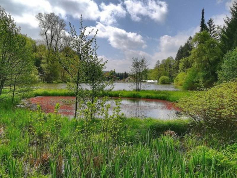 Z procházky arboretem ve Křtinách.