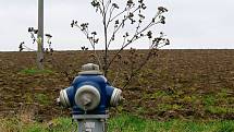 Další podzimní vycházka do okolí Boskovic tentokrát vedla na Vitavský kopec. Foto: Monika Šindelková